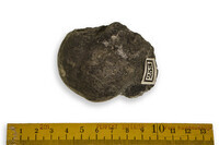 F 00253
<br/>
<br/>
<em></em>